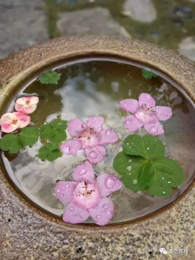 1558514069949155.jpg 微信图片_20190522161548.jpg