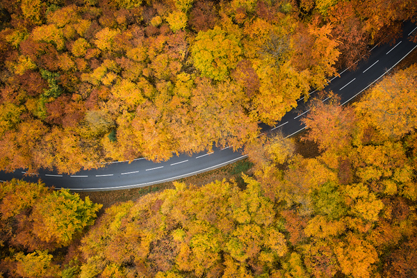 VCG41N1066908442 (1).jpg