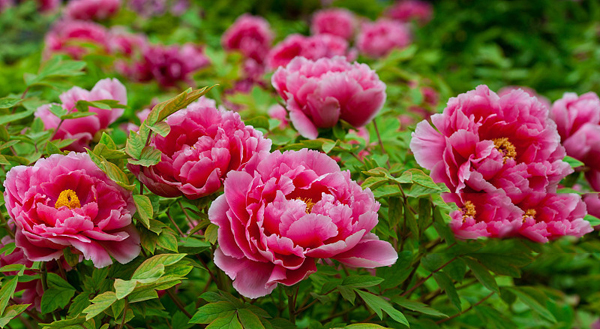 VCG41489745267 (1).jpg