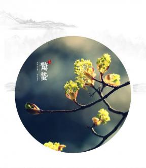 惊蛰 | 暖雨晴风初破冻，柳眼梅腮，已觉春心动。