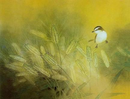 芒种 | 让我们在忙碌的同时，记得生活总要有一些雅趣。