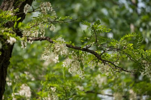 大暑 | 再炎热的苦夏，也抵不过我们坚忍本身
