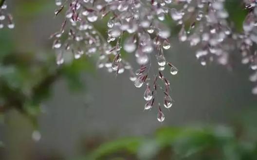 寒露 | 择一隅清幽，安度一世的春秋。