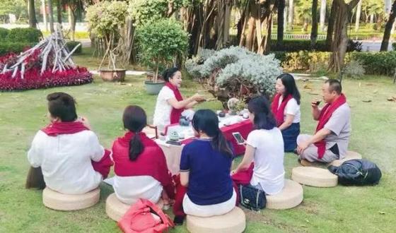 立冬品茶 | 品的是万木凋零的那份从容